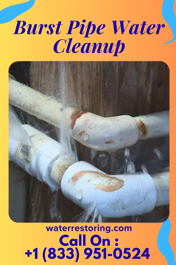 Burst Pipe Water Cleanup in Pulaski, GA