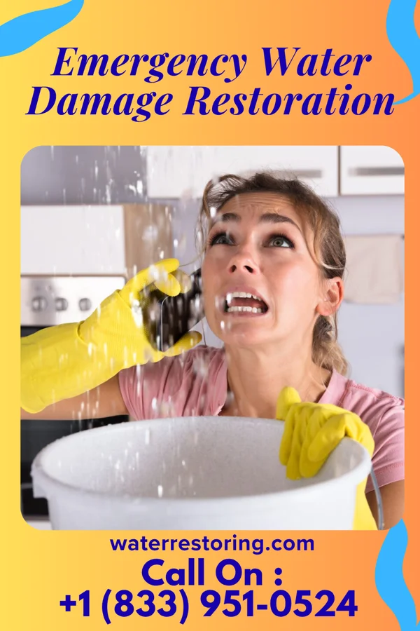 Emergency Water Damage Restoration in Pulaski, GA