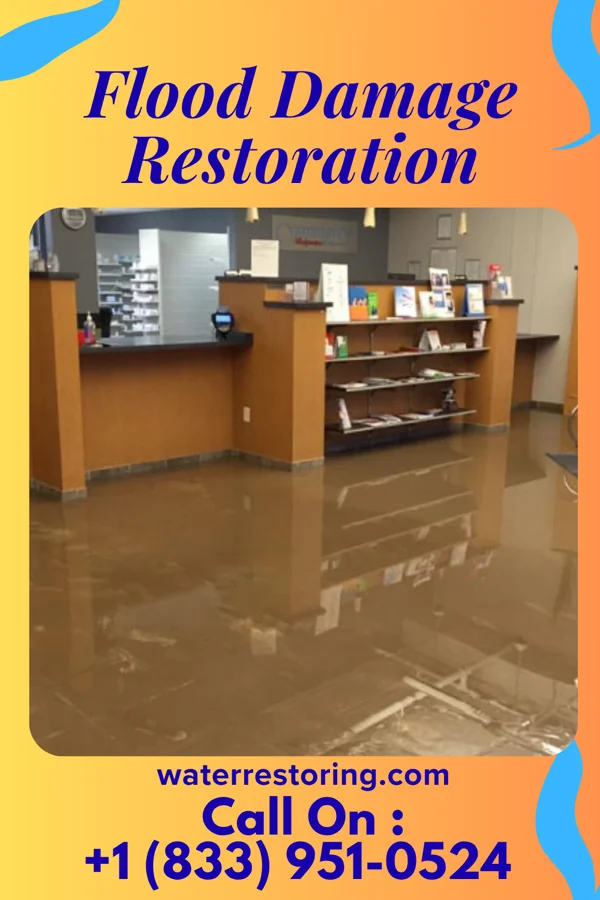 Flood Damage Restoration in Pulaski, GA