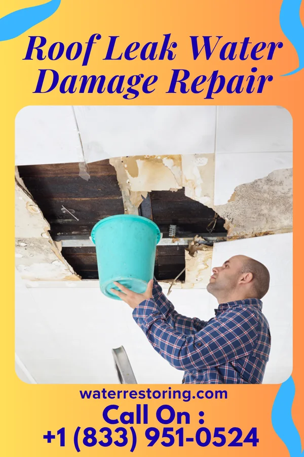 Roof Leak Water Damage Repair in Pulaski, GA